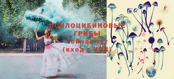 метадон Лагань