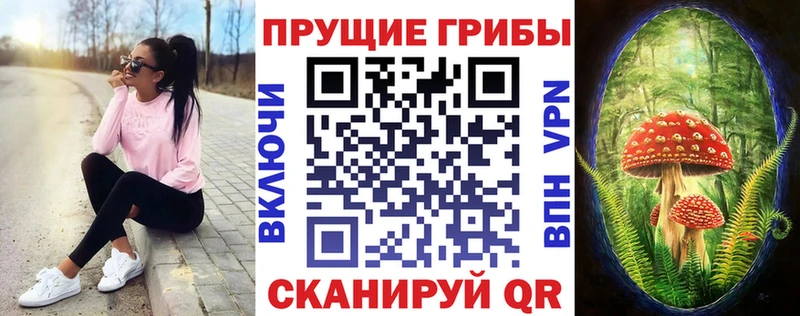 Купить где  Сунжа  Псилоцибиновые грибы MAGIC MUSHROOMS 